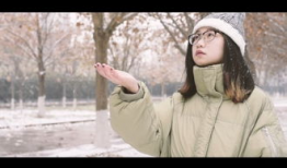 秦文龙,探寻历史脉络，解读文化传承